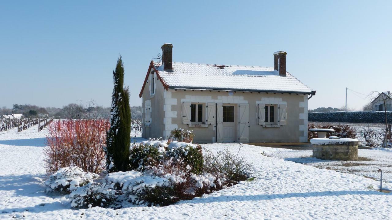 Вилла L'Ecrin Au Coeur Des Vignes Сен-Жорж-сюр-Шер Экстерьер фото