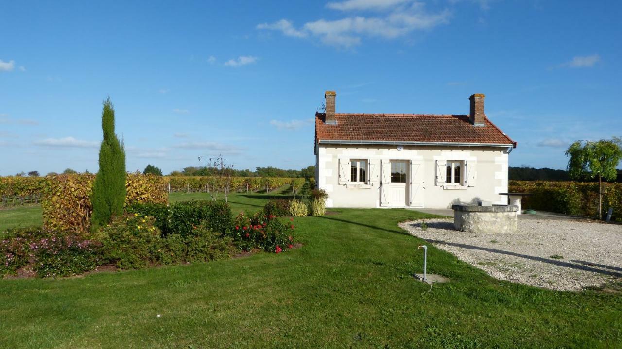 Вилла L'Ecrin Au Coeur Des Vignes Сен-Жорж-сюр-Шер Экстерьер фото